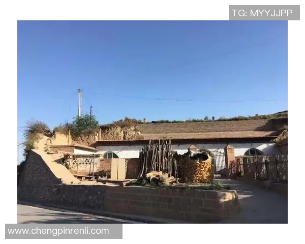 庄河足球明星全景盘点及其成就分析与发展前景探讨