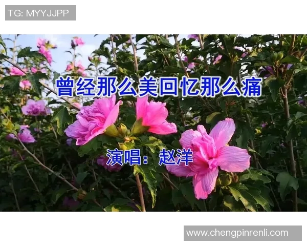 足球明星离别背后的故事与伤感转场瞬间的深情回忆