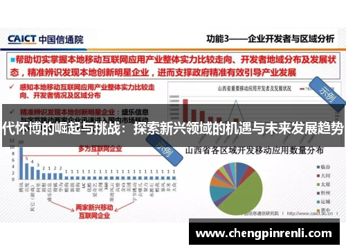 代怀博的崛起与挑战：探索新兴领域的机遇与未来发展趋势