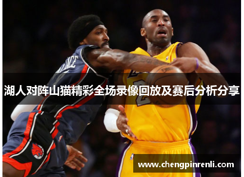 湖人对阵山猫精彩全场录像回放及赛后分析分享